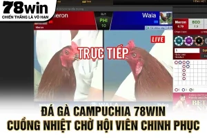 Đá gà Campuchia 78WIN cuồng nhiệt chờ hội viên chinh phục